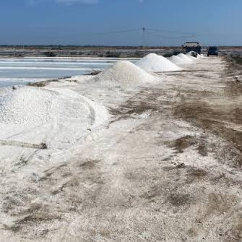 Sea Salt